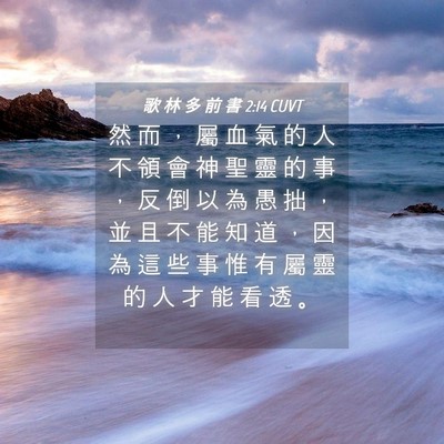 Picture 04 - 歌 林 多 前 書 2:14 CUVT - 然 而 ， 屬 血 氣 的 人 不 領 會 神 - Bible Verse Picture