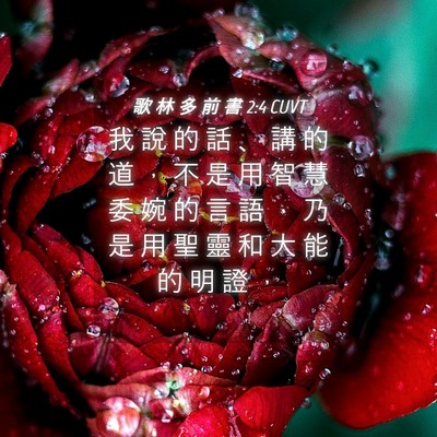 Picture 04 - 歌 林 多 前 書 2:4 CUVT - 我 說 的 話 、 講 的 道 ， 不 是 用 - Bible Verse Picture