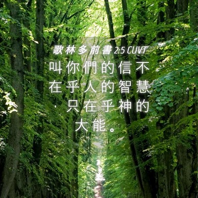 Picture 04 - 歌 林 多 前 書 2:5 CUVT - 叫 你 們 的 信 不 在 乎 人 的 智 慧 - Bible Verse Picture