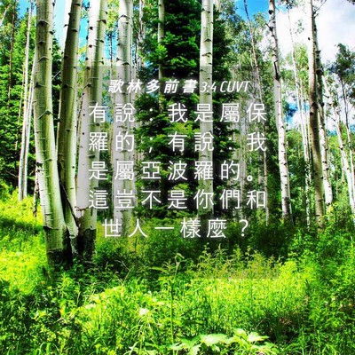 Picture 04 - 歌 林 多 前 書 3:4 CUVT - 有 說 ： 我 是 屬 保 羅 的 ； 有 說 - Bible Verse Picture