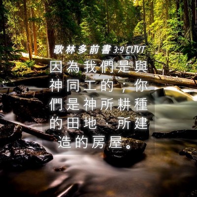 Picture 04 - 歌 林 多 前 書 3:9 CUVT - 因 為 我 們 是 與 神 同 工 的 ； 你 - Bible Verse Picture
