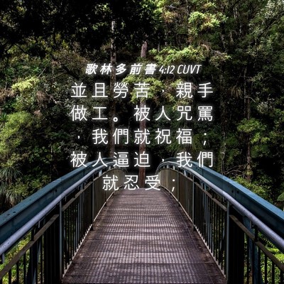 Picture 04 - 歌 林 多 前 書 4:12 CUVT - 並 且 勞 苦 ， 親 手 做 工 。 被 人 - Bible Verse Picture