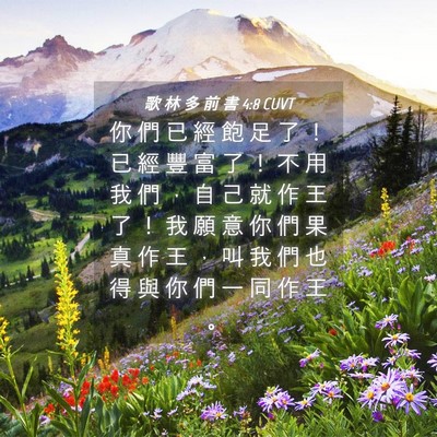 Picture 04 - 歌 林 多 前 書 4:8 CUVT - 你 們 已 經 飽 足 了 ！ 已 經 豐 富 - Bible Verse Picture