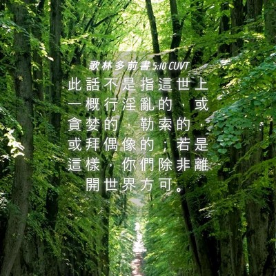 Picture 04 - 歌 林 多 前 書 5:10 CUVT - 此 話 不 是 指 這 世 上 一 概 行 淫 - Bible Verse Picture