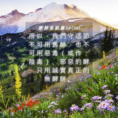 Picture 04 - 歌 林 多 前 書 5:8 CUVT - 所 以 ， 我 們 守 這 節 不 可 用 舊 - Bible Verse Picture