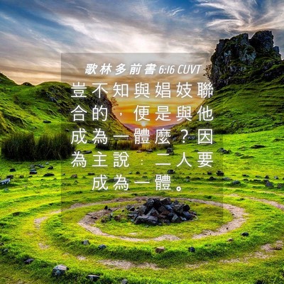 Picture 04 - 歌 林 多 前 書 6:16 CUVT - 豈 不 知 與 娼 妓 聯 合 的 ， 便 是 - Bible Verse Picture
