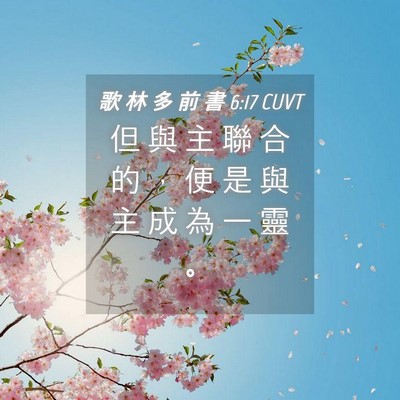 Picture 04 - 歌 林 多 前 書 6:17 CUVT - 但 與 主 聯 合 的 ， 便 是 與 主 成 - Bible Verse Picture