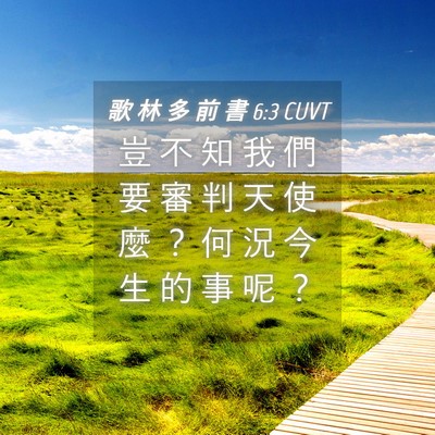 Picture 04 - 歌 林 多 前 書 6:3 CUVT - 豈 不 知 我 們 要 審 判 天 使 麼 ？ - Bible Verse Picture