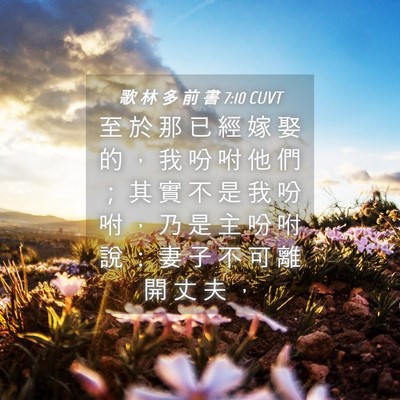 Picture 04 - 歌 林 多 前 書 7:10 CUVT - 至 於 那 已 經 嫁 娶 的 ， 我 吩 咐 - Bible Verse Picture