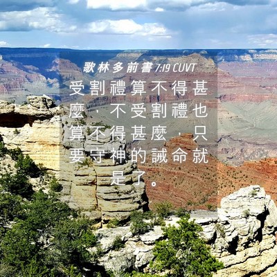 Picture 04 - 歌 林 多 前 書 7:19 CUVT - 受 割 禮 算 不 得 甚 麼 ， 不 受 割 - Bible Verse Picture