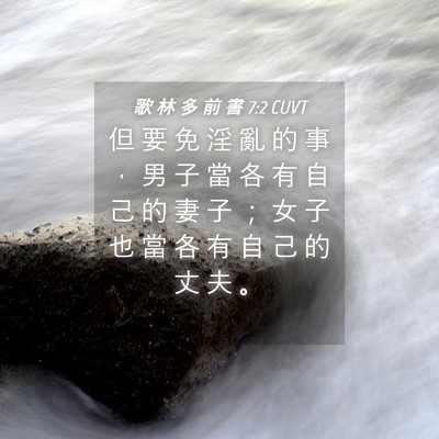 Picture 04 - 歌 林 多 前 書 7:2 CUVT - 但 要 免 淫 亂 的 事 ， 男 子 當 各 - Bible Verse Picture