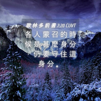 Picture 04 - 歌 林 多 前 書 7:20 CUVT - 各 人 蒙 召 的 時 候 是 甚 麼 身 分 - Bible Verse Picture
