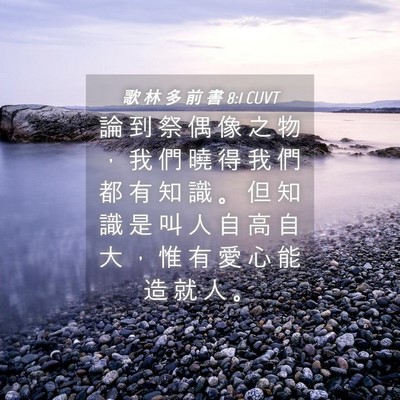 Picture 04 - 歌 林 多 前 書 8:1 CUVT - 論 到 祭 偶 像 之 物 ， 我 們 曉 得 - Bible Verse Picture
