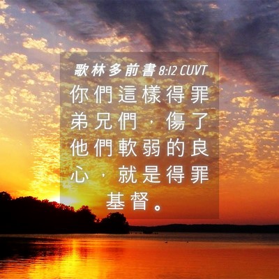Picture 04 - 歌 林 多 前 書 8:12 CUVT - 你 們 這 樣 得 罪 弟 兄 們 ， 傷 了 - Bible Verse Picture