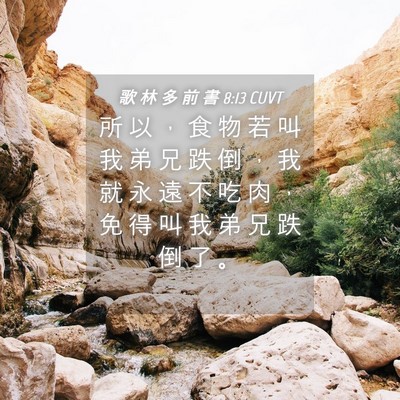 Picture 04 - 歌 林 多 前 書 8:13 CUVT - 所 以 ， 食 物 若 叫 我 弟 兄 跌 倒 - Bible Verse Picture