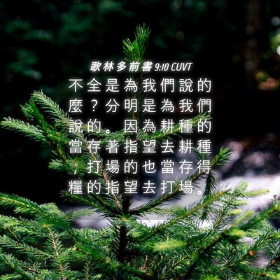 Picture 04 - 歌 林 多 前 書 9:10 CUVT - 不 全 是 為 我 們 說 的 麼 ？ 分 明 - Bible Verse Picture