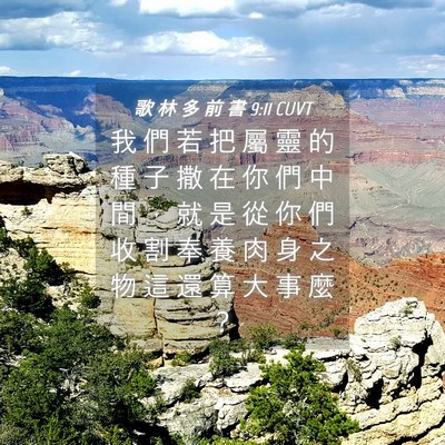 Picture 04 - 歌 林 多 前 書 9:11 CUVT - 我 們 若 把 屬 靈 的 種 子 撒 在 你 - Bible Verse Picture