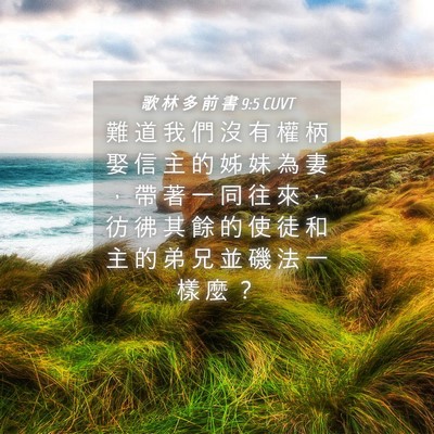 Picture 04 - 歌 林 多 前 書 9:5 CUVT - 難 道 我 們 沒 有 權 柄 娶 信 主 的 - Bible Verse Picture