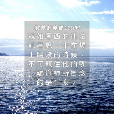 Picture 04 - 歌 林 多 前 書 9:9 CUVT - 就 如 摩 西 的 律 法 記 著 說 ： 牛 - Bible Verse Picture