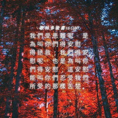 Picture 04 - 歌 林 多 後 書 1:6 CUVT - 我 們 受 患 難 呢 ， 是 為 叫 你 們 - Bible Verse Picture