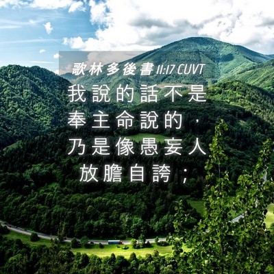 Picture 04 - 歌 林 多 後 書 11:17 CUVT - 我 說 的 話 不 是 奉 主 命 說 的 ， - Bible Verse Picture
