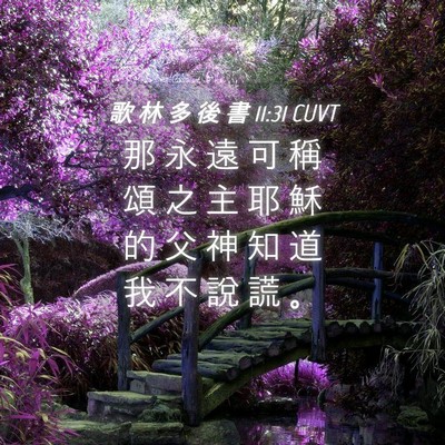 Picture 04 - 歌 林 多 後 書 11:31 CUVT - 那 永 遠 可 稱 頌 之 主 耶 穌 的 父 - Bible Verse Picture