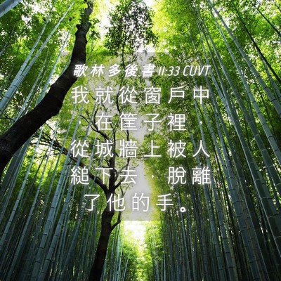 Picture 04 - 歌 林 多 後 書 11:33 CUVT - 我 就 從 窗 戶 中 ， 在 筐 子 裡 ， - Bible Verse Picture