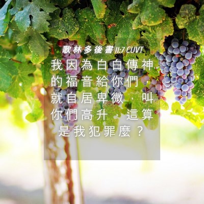 Picture 04 - 歌 林 多 後 書 11:7 CUVT - 我 因 為 白 白 傳 神 的 福 音 給 你 - Bible Verse Picture