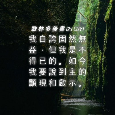 Picture 04 - 歌 林 多 後 書 12:1 CUVT - 我 自 誇 固 然 無 益 ， 但 我 是 不 - Bible Verse Picture