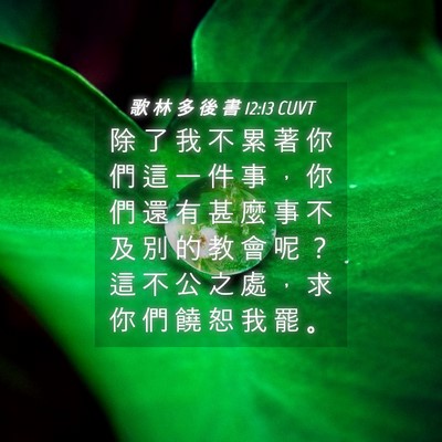 Picture 04 - 歌 林 多 後 書 12:13 CUVT - 除 了 我 不 累 著 你 們 這 一 件 事 - Bible Verse Picture