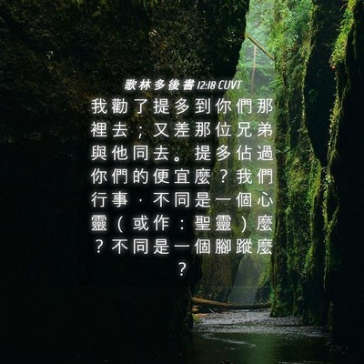 Picture 04 - 歌 林 多 後 書 12:18 CUVT - 我 勸 了 提 多 到 你 們 那 裡 去 ； - Bible Verse Picture