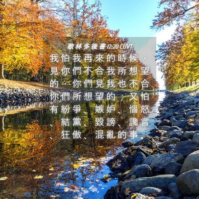 Picture 04 - 歌 林 多 後 書 12:20 CUVT - 我 怕 我 再 來 的 時 候 ， 見 你 們 - Bible Verse Picture