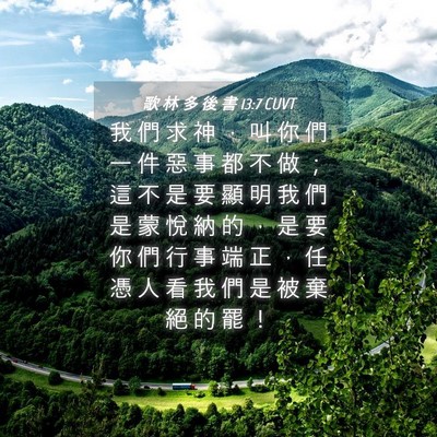 Picture 04 - 歌 林 多 後 書 13:7 CUVT - 我 們 求 神 ， 叫 你 們 一 件 惡 事 - Bible Verse Picture