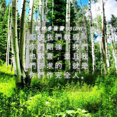 Picture 04 - 歌 林 多 後 書 13:9 CUVT - 即 使 我 們 軟 弱 ， 你 們 剛 強 ， - Bible Verse Picture