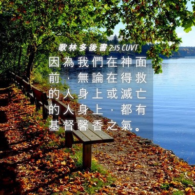 Picture 04 - 歌 林 多 後 書 2:15 CUVT - 因 為 我 們 在 神 面 前 ， 無 論 在 - Bible Verse Picture
