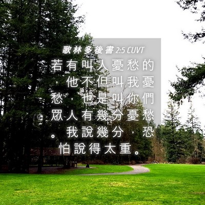 Picture 04 - 歌 林 多 後 書 2:5 CUVT - 若 有 叫 人 憂 愁 的 ， 他 不 但 叫 - Bible Verse Picture