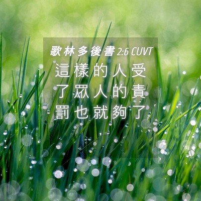 Picture 04 - 歌 林 多 後 書 2:6 CUVT - 這 樣 的 人 受 了 眾 人 的 責 罰 也 - Bible Verse Picture