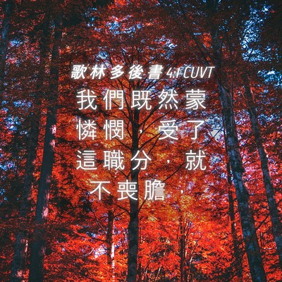 Picture 04 - 歌 林 多 後 書 4:1 CUVT - 我 們 既 然 蒙 憐 憫 ， 受 了 這 職 - Bible Verse Picture