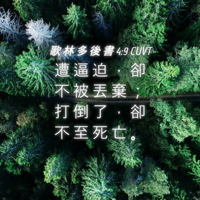 Picture 04 - 歌 林 多 後 書 4:9 CUVT - 遭 逼 迫 ， 卻 不 被 丟 棄 ； 打 倒 - Bible Verse Picture