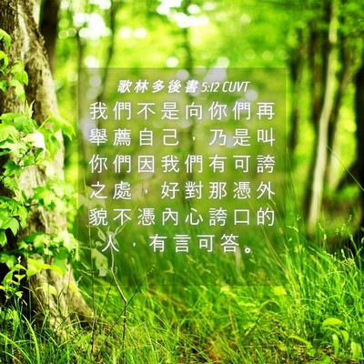 Picture 04 - 歌 林 多 後 書 5:12 CUVT - 我 們 不 是 向 你 們 再 舉 薦 自 己 - Bible Verse Picture