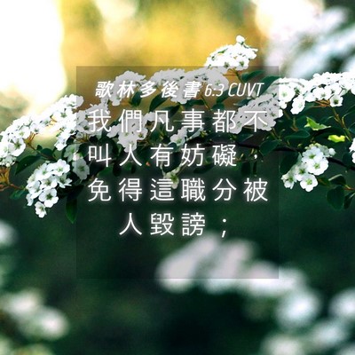 Picture 04 - 歌 林 多 後 書 6:3 CUVT - 我 們 凡 事 都 不 叫 人 有 妨 礙 ， - Bible Verse Picture