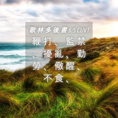 Picture 04 - 歌 林 多 後 書 6:5 CUVT - 鞭 打 、 監 禁 、 擾 亂 、 勤 勞 、 - Bible Verse Picture