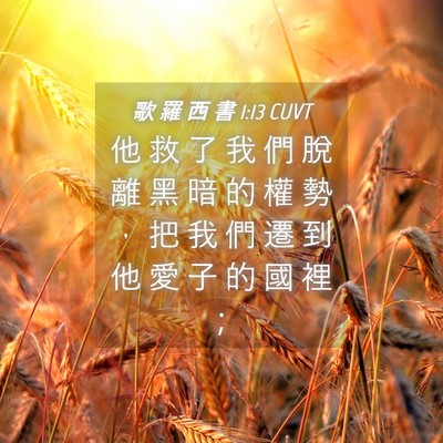 Picture 04 - 歌 羅 西 書 1:13 CUVT - 他 救 了 我 們 脫 離 黑 暗 的 權 勢 - Bible Verse Picture