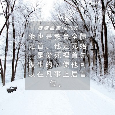 Picture 04 - 歌 羅 西 書 1:18 CUVT - 他 也 是 教 會 全 體 之 首 。 他 是 - Bible Verse Picture