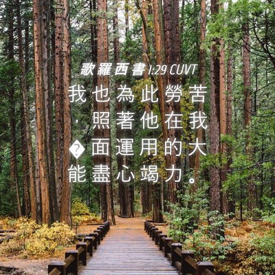 Picture 04 - 歌 羅 西 書 1:29 CUVT - 我 也 為 此 勞 苦 ， 照 著 他 在 我 - Bible Verse Picture