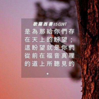Picture 04 - 歌 羅 西 書 1:5 CUVT - 是 為 那 給 你 們 存 在 天 上 的 盼 - Bible Verse Picture