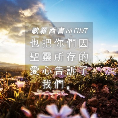 Picture 04 - 歌 羅 西 書 1:8 CUVT - 也 把 你 們 因 聖 靈 所 存 的 愛 心 - Bible Verse Picture