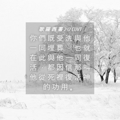 Picture 04 - 歌 羅 西 書 2:12 CUVT - 你 們 既 受 洗 與 他 一 同 埋 葬 ， - Bible Verse Picture