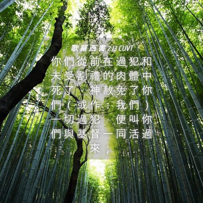Picture 04 - 歌 羅 西 書 2:13 CUVT - 你 們 從 前 在 過 犯 和 未 受 割 禮 - Bible Verse Picture