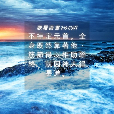 Picture 04 - 歌 羅 西 書 2:19 CUVT - 不 持 定 元 首 。 全 身 既 然 靠 著 - Bible Verse Picture